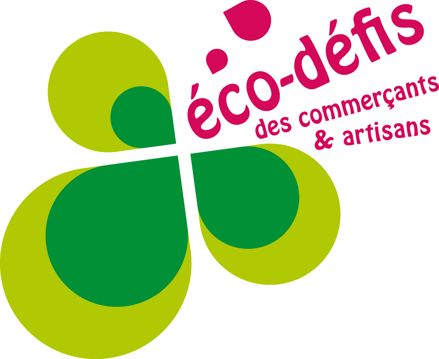 Logo Eco Défi